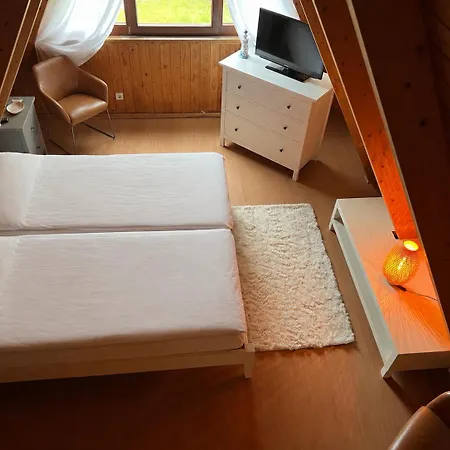 Dachzelt Oase * Damp