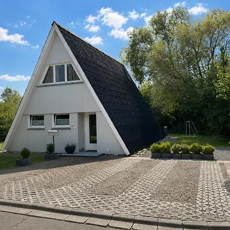 Dachzelt Oase Damp
